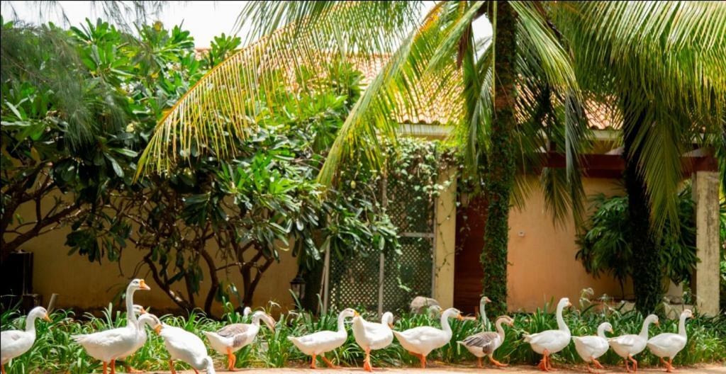Ocean Spray Hotel Kalapettai Luaran gambar
